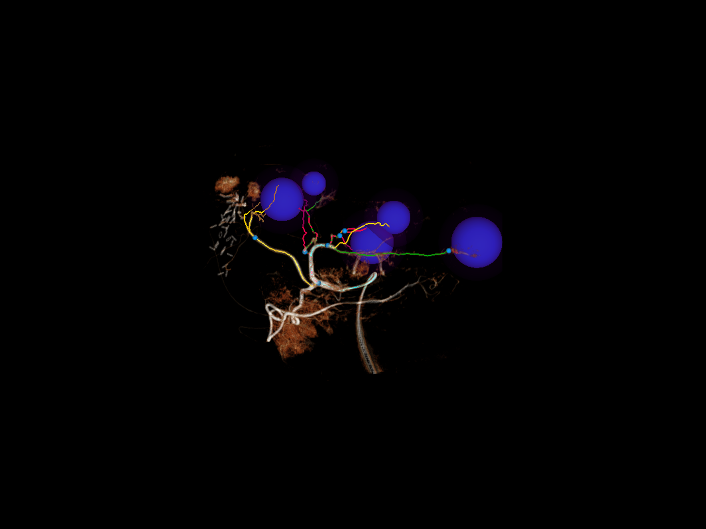 Clinical Software Applications