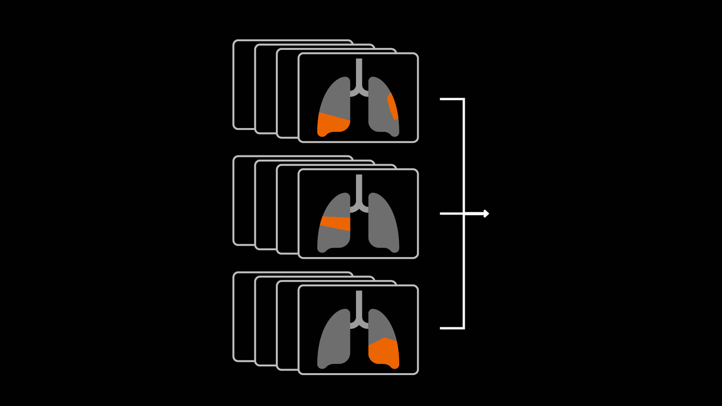 Algorithms fact slider 1/3