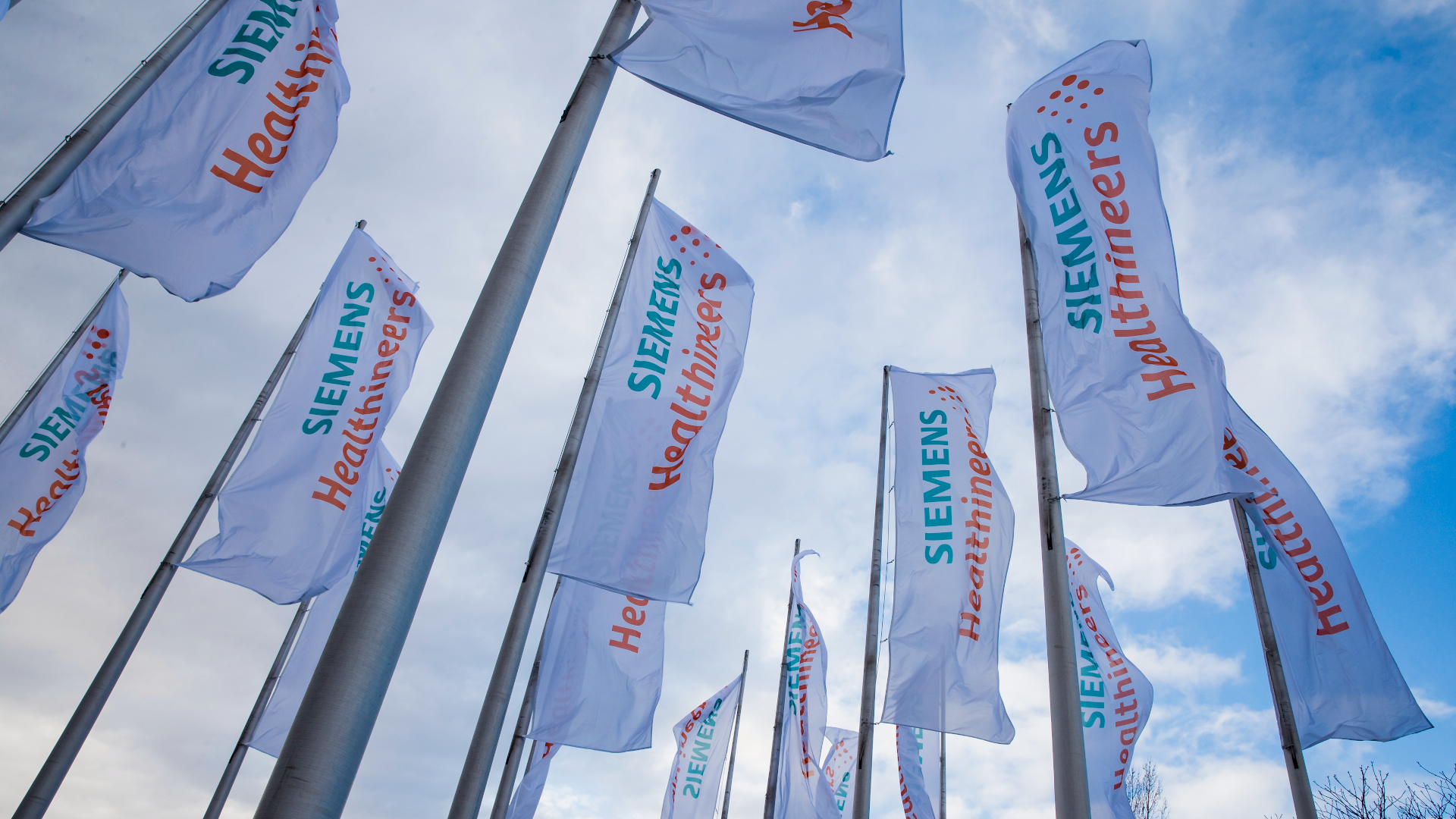 Annual Shareholders' Meeting