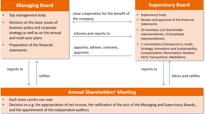 Management & control structure