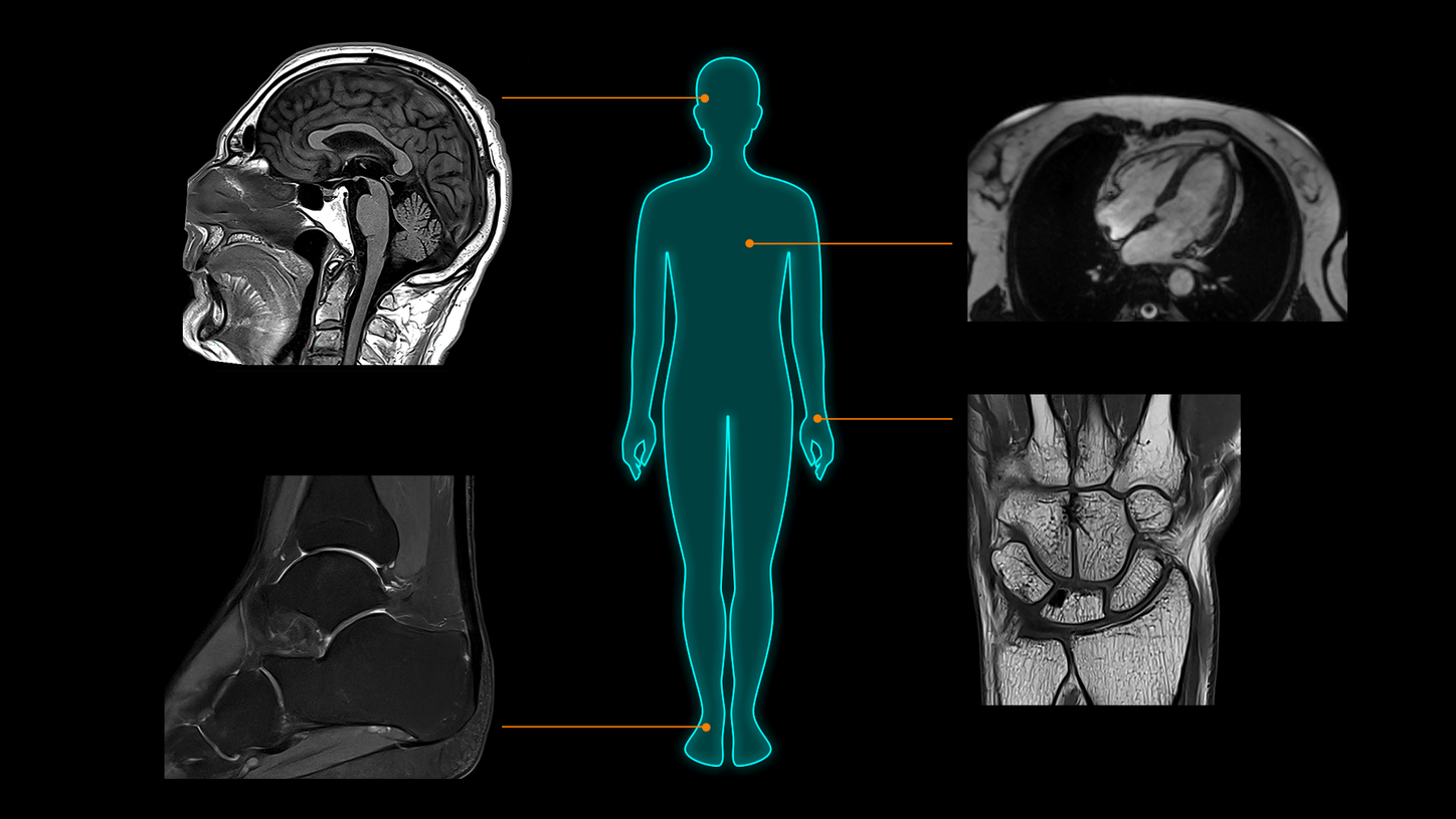 Clinical excellence from head to toe