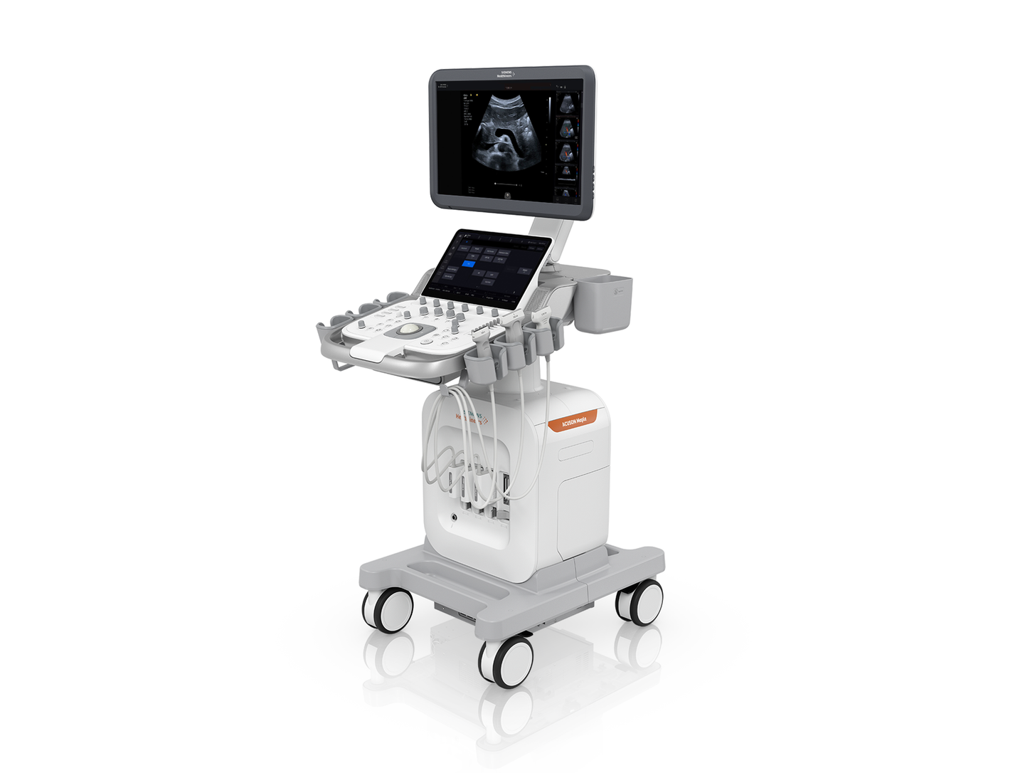 ACUSON Maple Ultrasound System