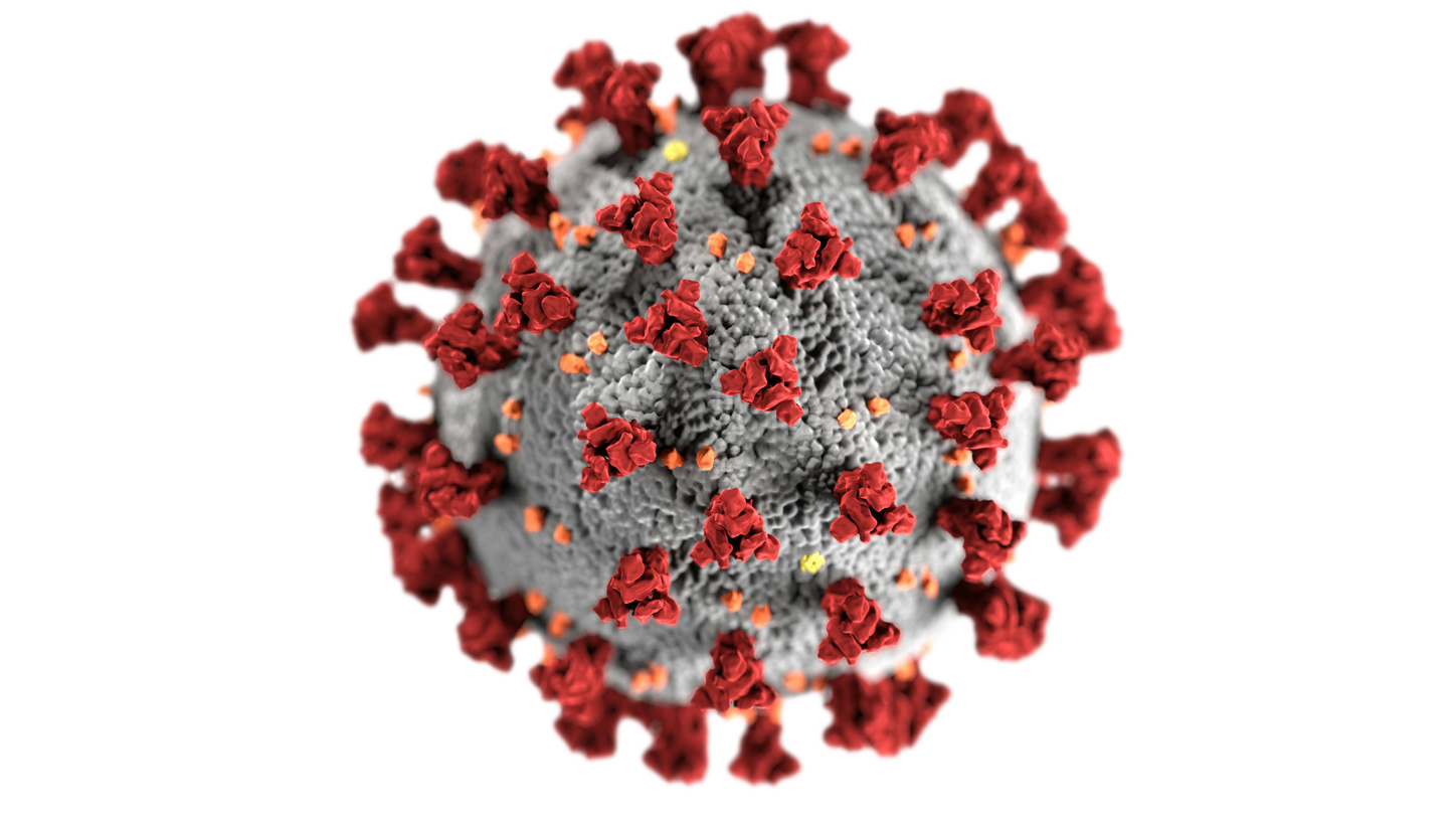 Visualization of COVID 19 virus 